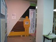展示の様子